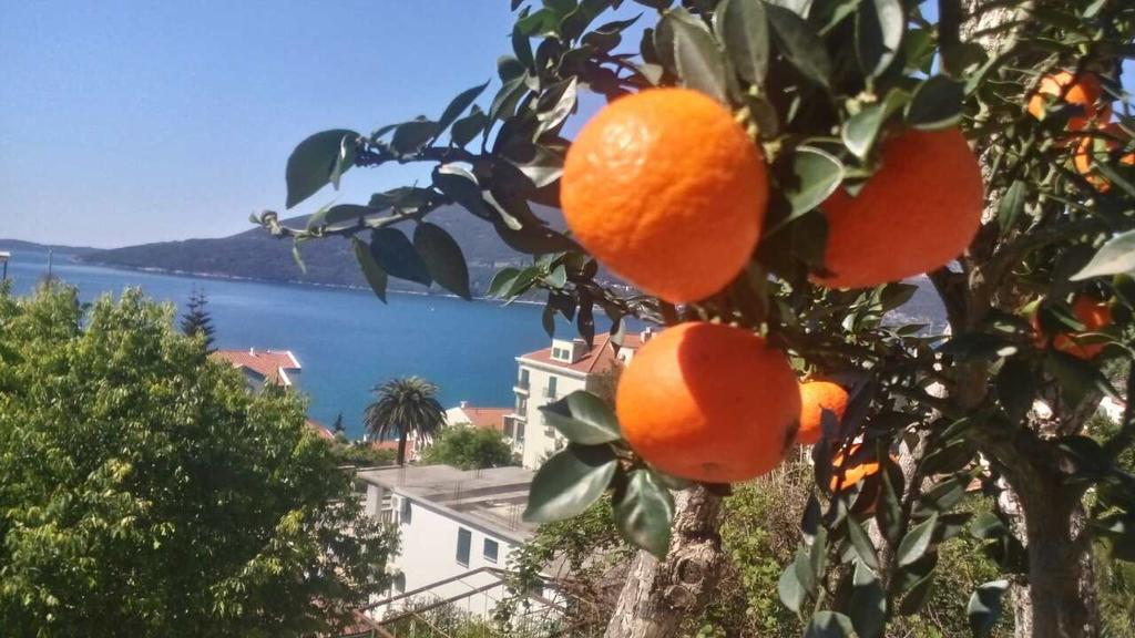 House Orange Apartments Херцег Нови Екстериор снимка