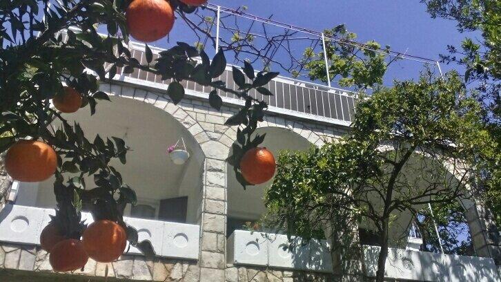 House Orange Apartments Херцег Нови Екстериор снимка