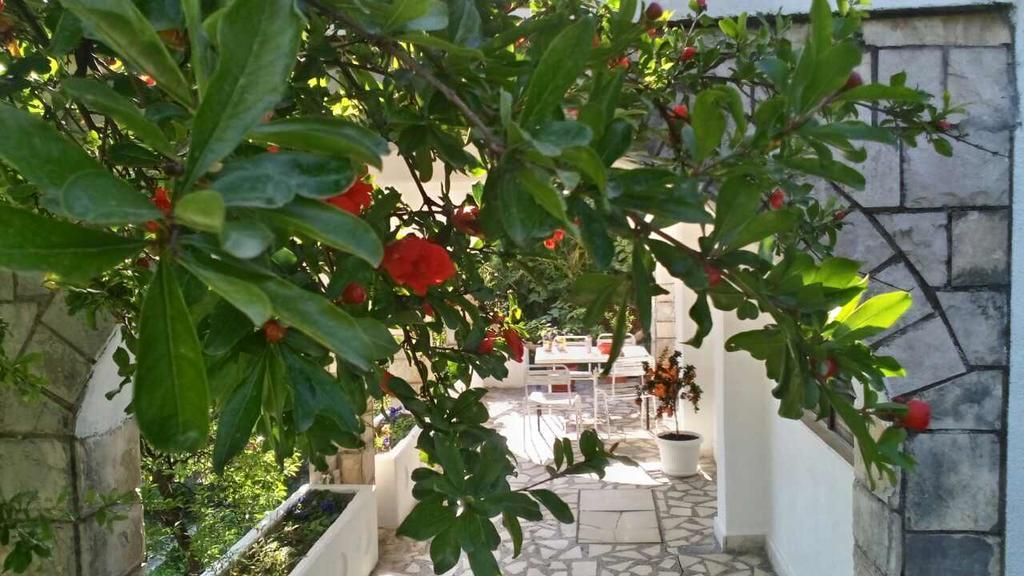 House Orange Apartments Херцег Нови Екстериор снимка
